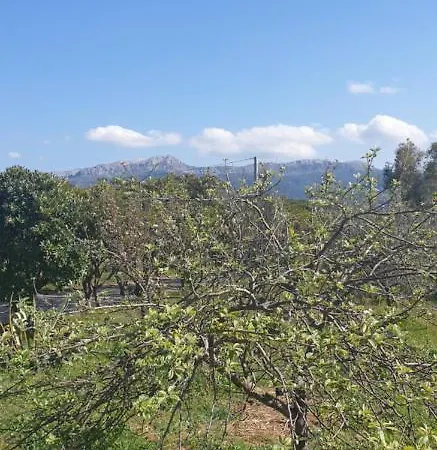 Campeggio Apple Tree