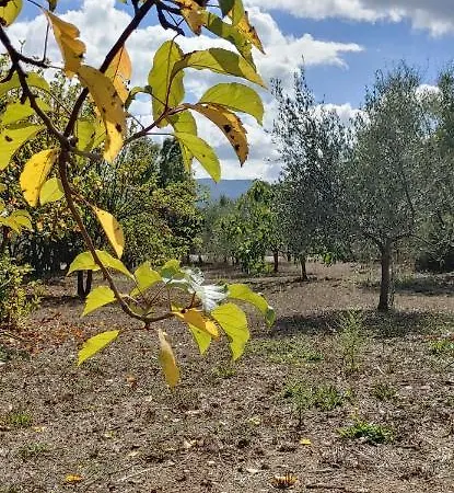 Apple Tree Parque de Campismo Lode
