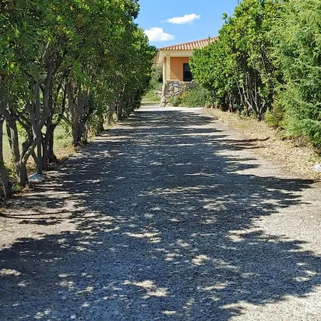 Apple Tree Кемпинг